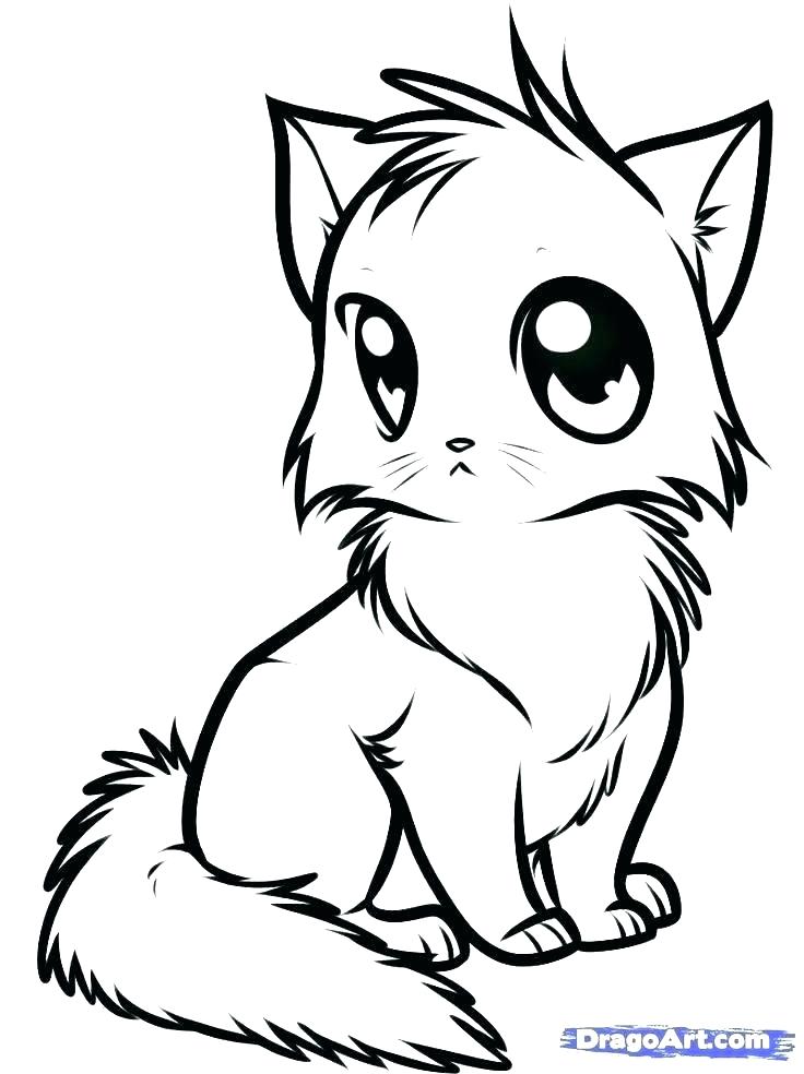736x984 Cute Kitty Coloring Pages Cat Coloring Pages Plus Cat Coloring