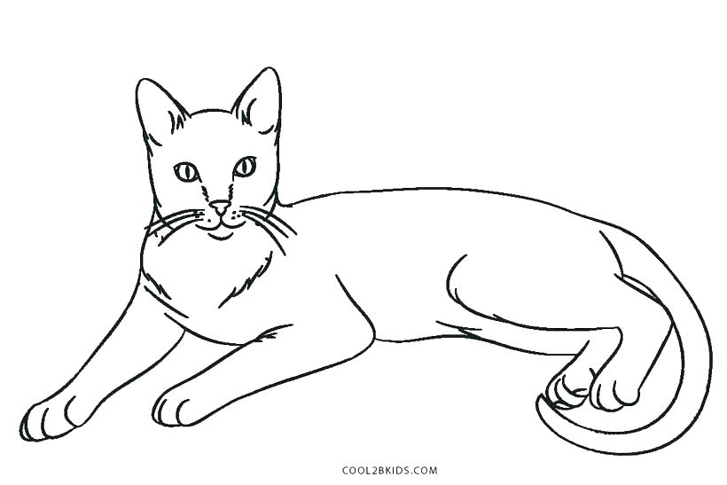 820x547 Cats Coloring Pages Free Printable Cat Coloring Pages With Cat
