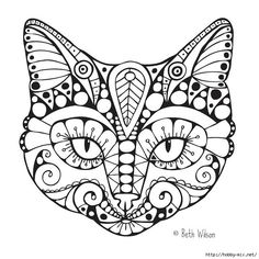 Cat. Portrait Of A Cat. Cat's Head. Cute Cat. Animal. A Pet. Line 236x236 Cat. Portrait Of A Cat. Cat's Head. Cute Cat. Animal. A Pet. Line