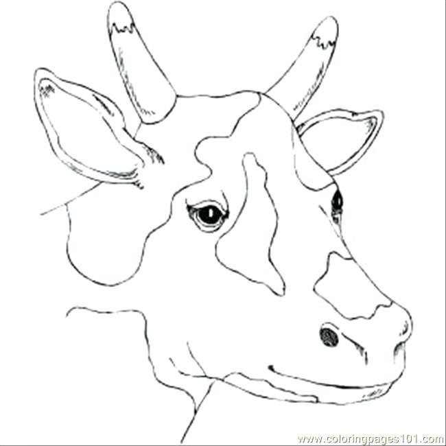 Cow Face Coloring Page Spotty Cow Head Coloring Page Free Pages 650x650 Cow Face Coloring Page Spotty Cow Head Coloring Page Free Pages