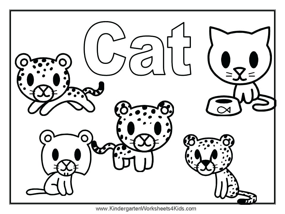 The Cat In The Hat Coloring Pages Cat Hat Coloring Pages The Cat 960x720 The Cat In The Hat Coloring Pages Cat Hat Coloring Pages The Cat