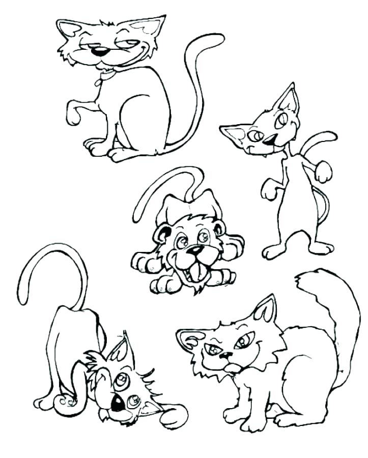 723x900 Cat Coloring Book Pages