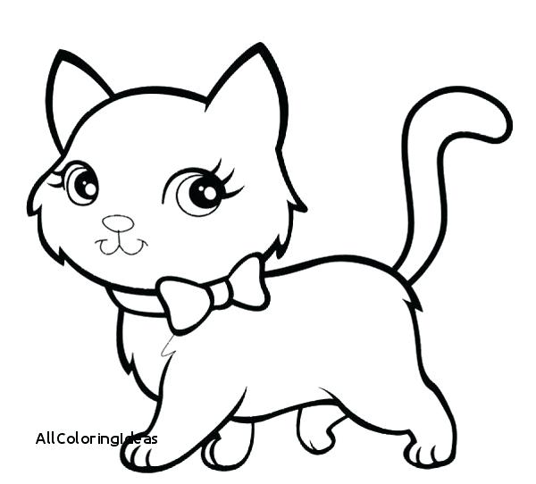 600x542 Cat In Hat Coloring Pages Printable