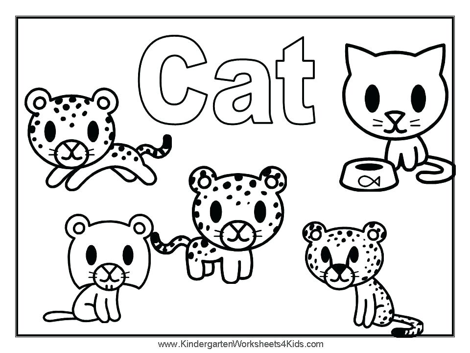 The Cat In The Hat Coloring Pages Printable New The Cat In The Hat 960x720 The Cat In The Hat Coloring Pages Printable New The Cat In The Hat