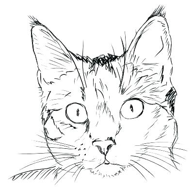 Cat Face Coloring Page Cat Face Coloring Page Drawn Cat Cat Head 2 400x395 Cat Face Coloring Page Cat Face Coloring Page Drawn Cat Cat Head 2