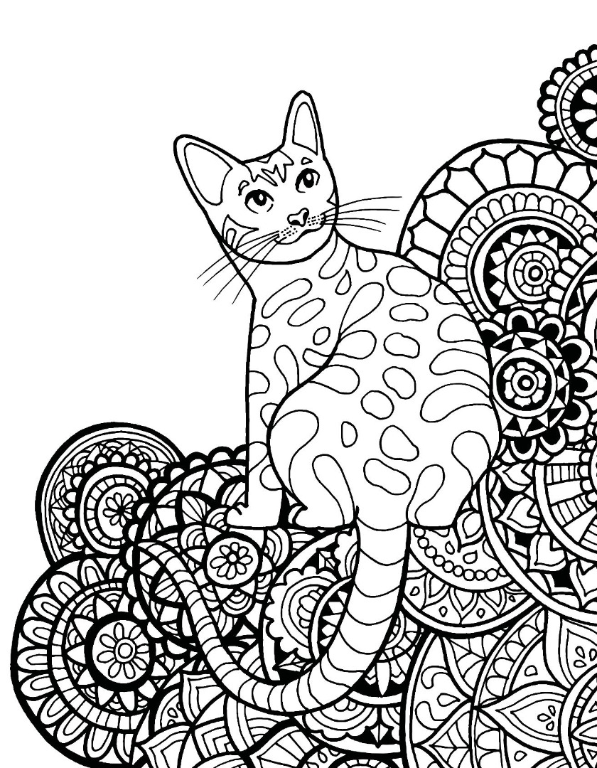 840x1080 Cat Mandala Freebie Ty