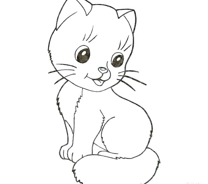 678x600 Coloring Pages Kitty