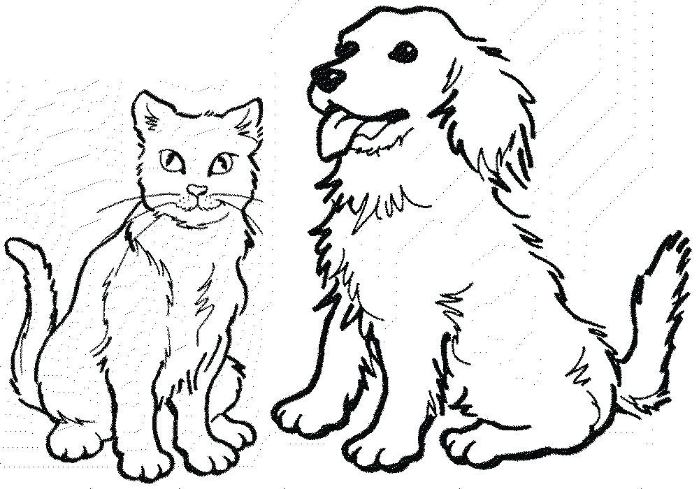 1000x700 Catdog Coloring Pages Coloring Pages Free Coloring Pages Dog