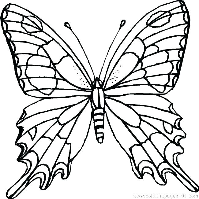 Monarch Butterfly Coloring Pages Coloring Pictures Of Flowers 650x651 Monarch Butterfly Coloring Pages Coloring Pictures Of Flowers