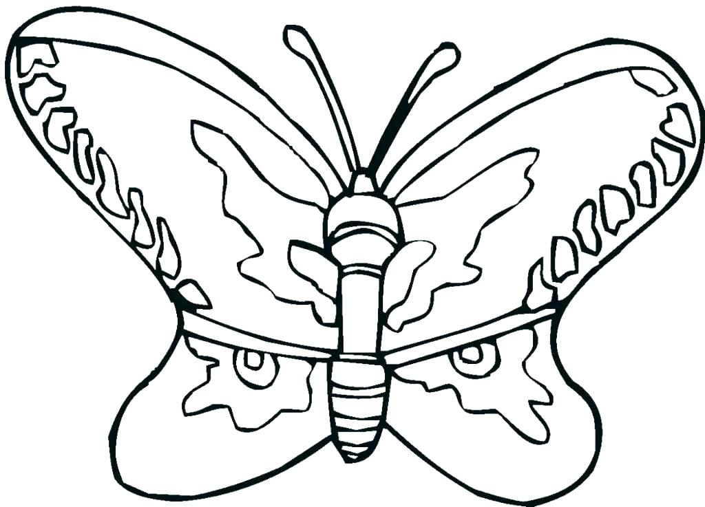 Butterfly Coloring Pages 1024x737 Butterfly Coloring Pages