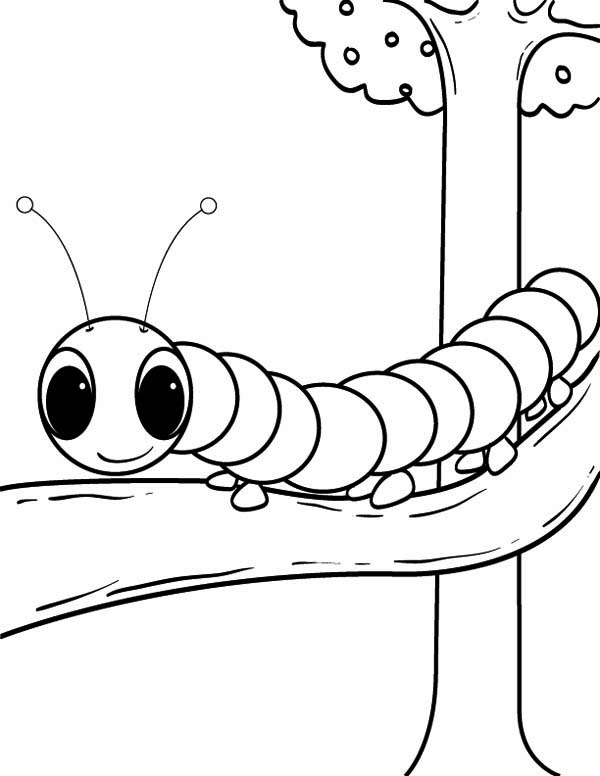 Caterpillar Coloring Pages 360coloringpages 600x776 Caterpillar Coloring Pages 360coloringpages