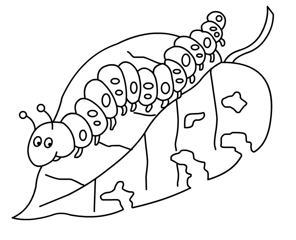 Beautiful Kids Caterpillar Coloring Page On Property Animal 1002x813 Beautiful Kids Caterpillar Coloring Page On Property Animal