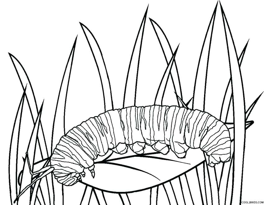 Monarch Caterpillar Coloring Page Coloring Page 850x659 Monarch Caterpillar Coloring Page Coloring Page