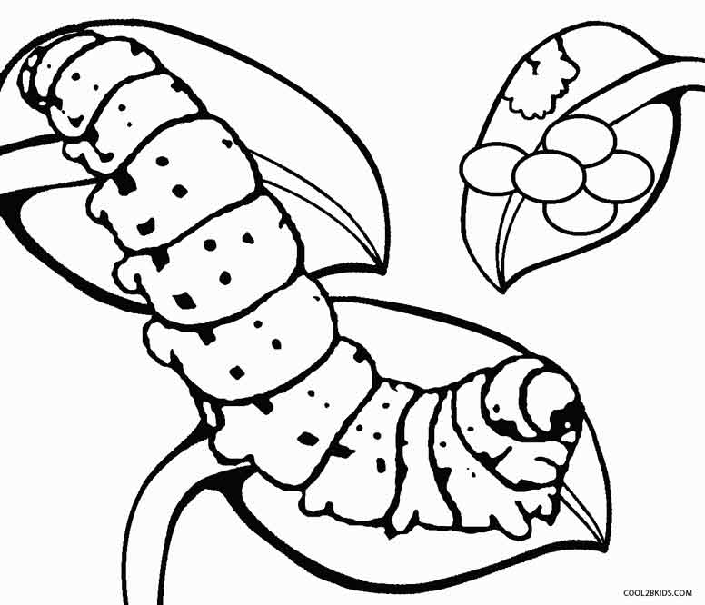 Printable Caterpillar Coloring Pages For Kids Cool2bkids 776x666 Printable Caterpillar Coloring Pages For Kids Cool2bkids