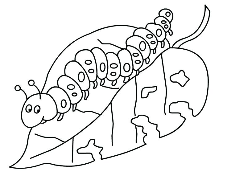 The Very Hungry Caterpillar Coloring Pages Printables Coloring 736x597 The Very Hungry Caterpillar Coloring Pages Printables Coloring