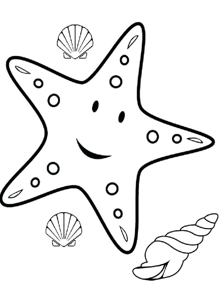 750x1000 Coloring Pages 4 Catfish Coloring Page Starfish Coloring Pages 4