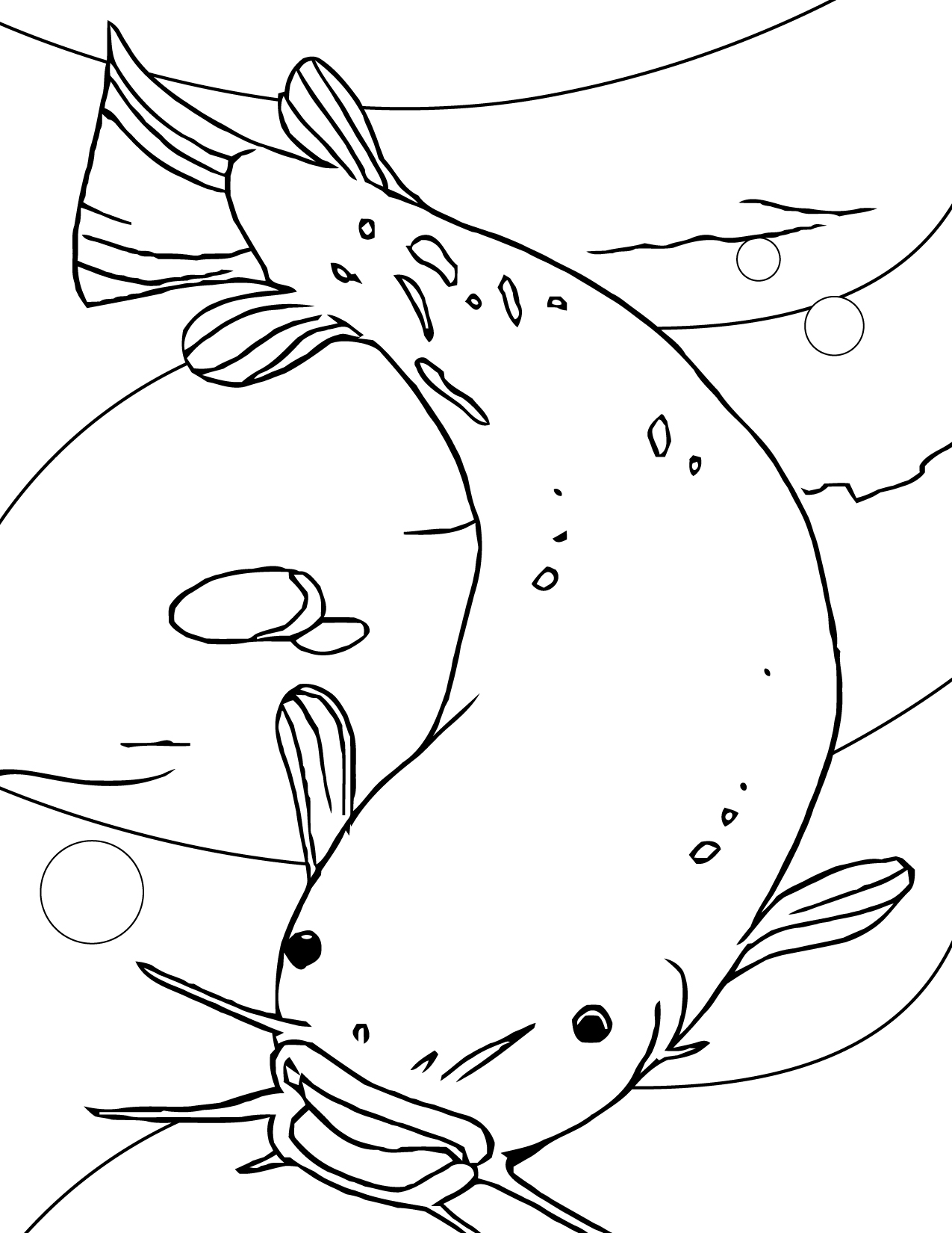 1275x1650 Electric Catfish Coloring Page