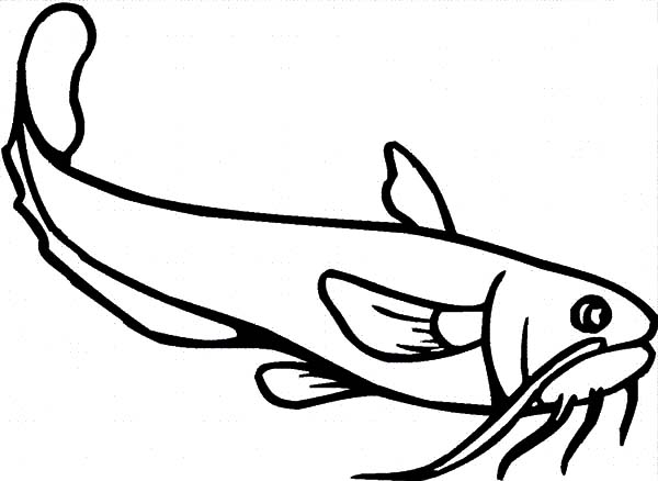 600x438 Fisherman Favorite Target Catfish Coloring Pages Best Place To Color