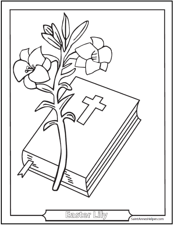 Easter Lily Coloring Page With Bible 590x762 Easter Lily Coloring Page With Bible