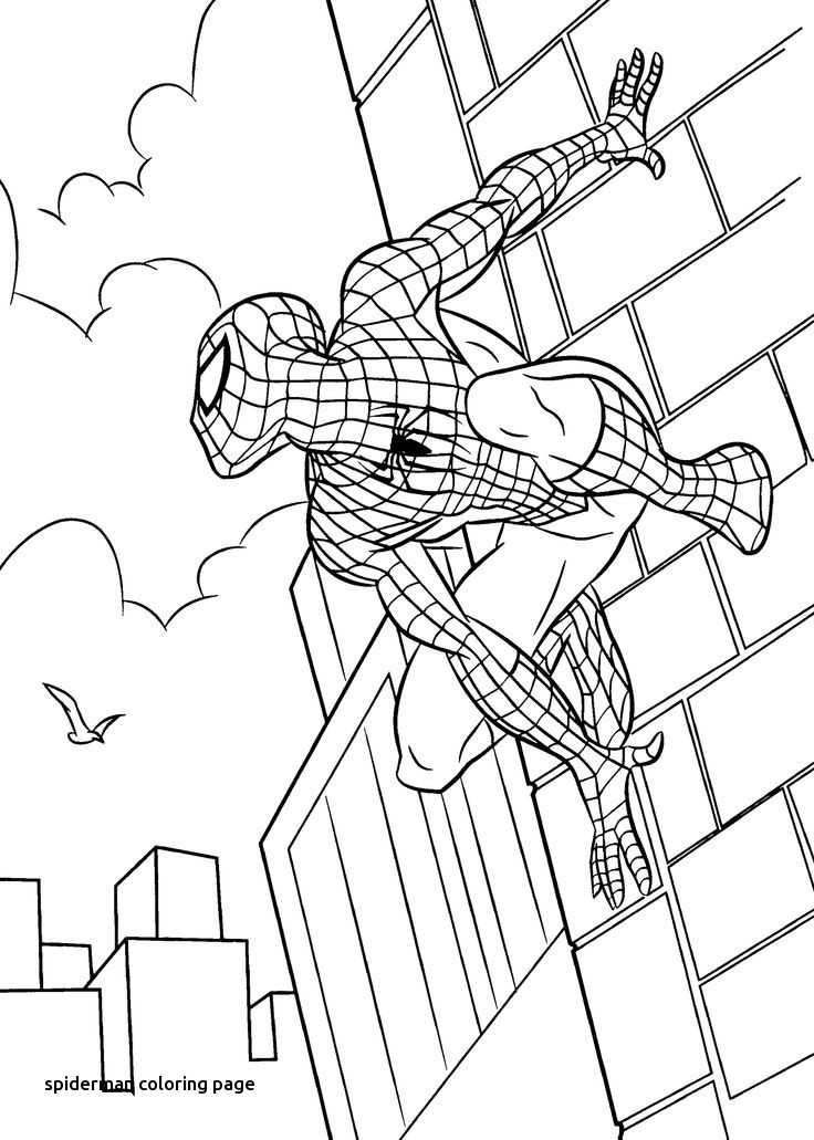 101 Best Catoon Coloring Pages Images On For Spiderman 736x1031 101 Best Catoon Coloring Pages Images On For Spiderman