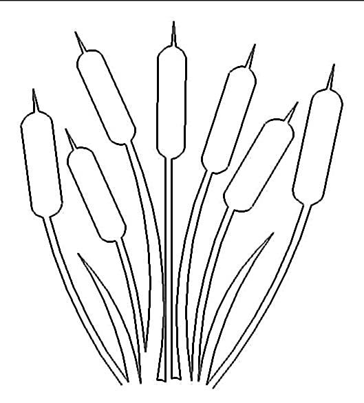 529x586 Cattails Quilt Studio, Dragonflies And Digital