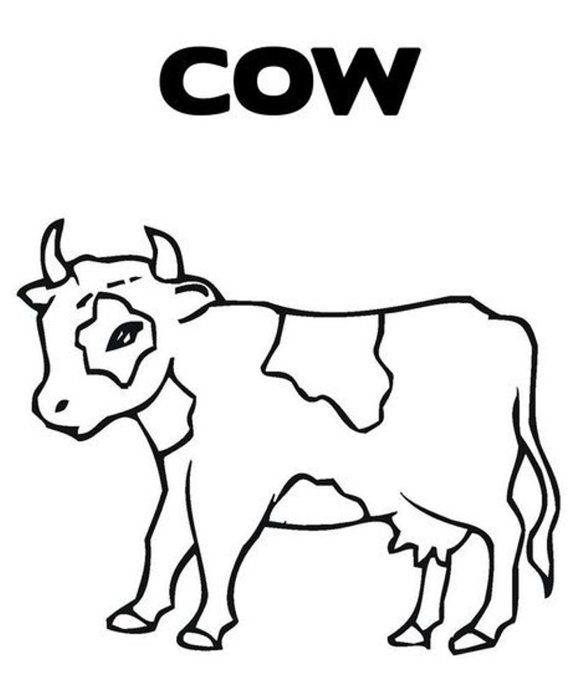 833x986 Cow Coloring Page Cute Pages