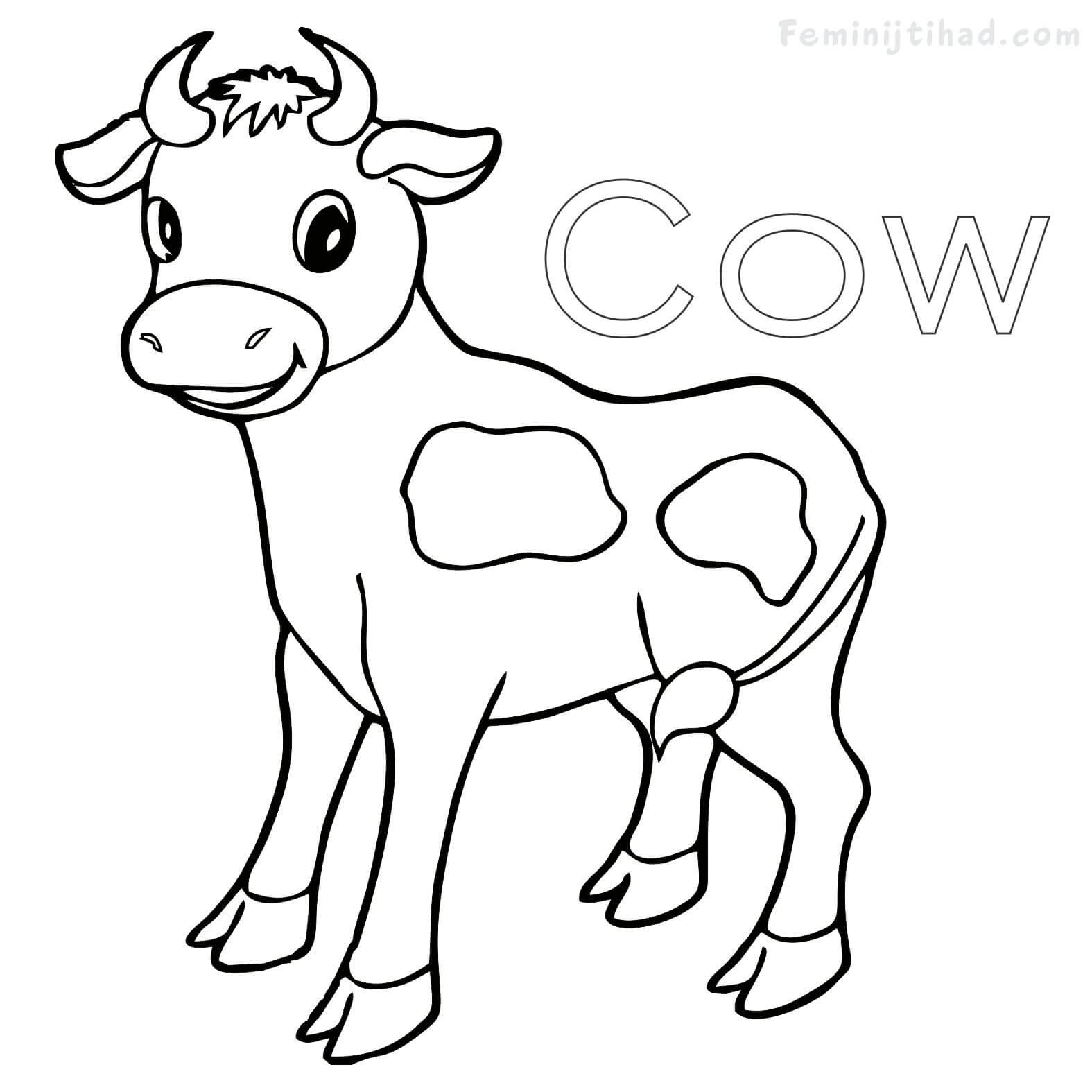 Show Cattle Pages Coloring Pages