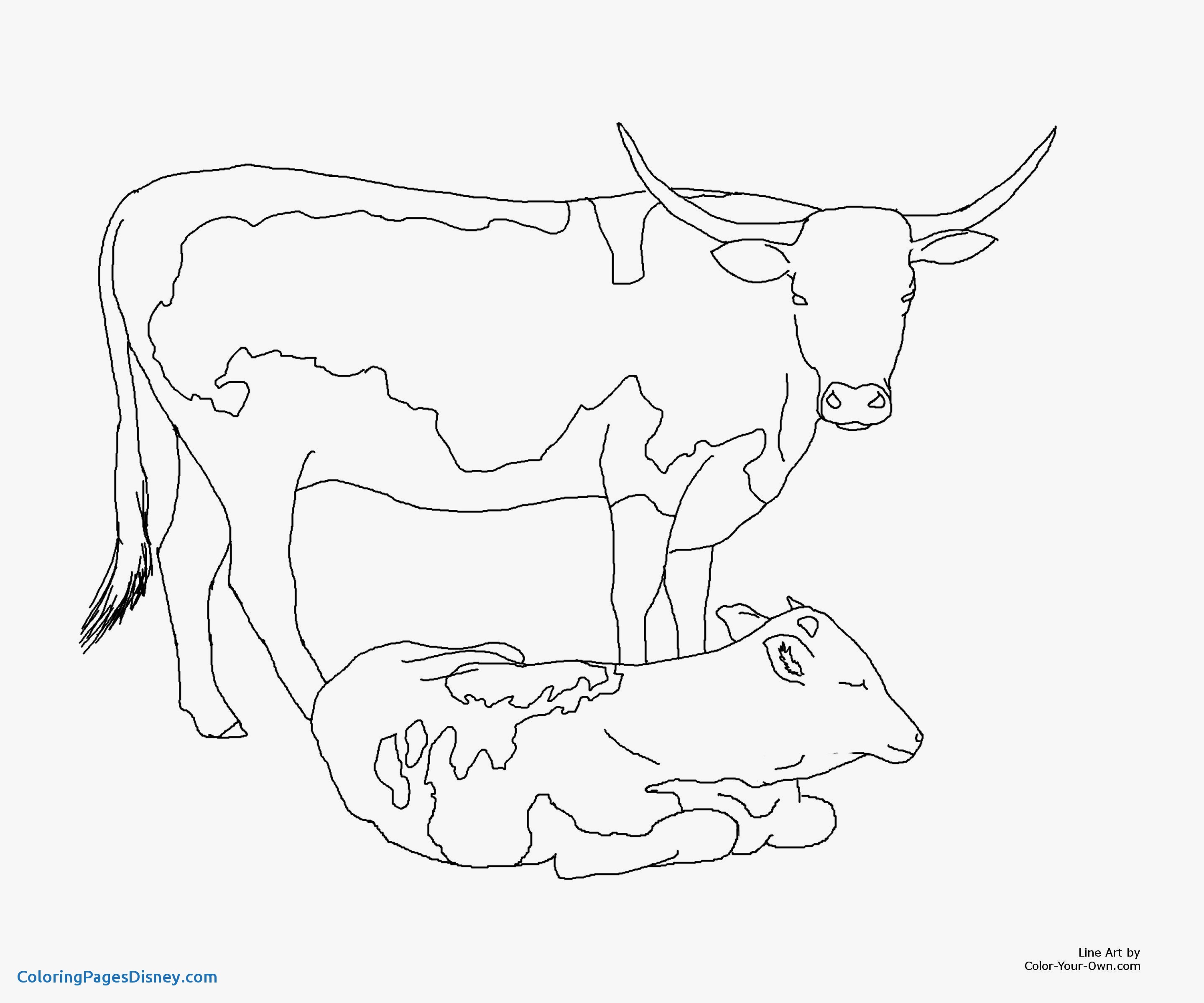 2880x2400 Cows Coloring Pages New Cow And Calf Coloring Pages