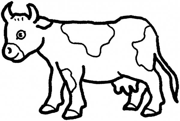 600x402 Fascinating Cow Coloring Sheets Free Printable Pages For Kids