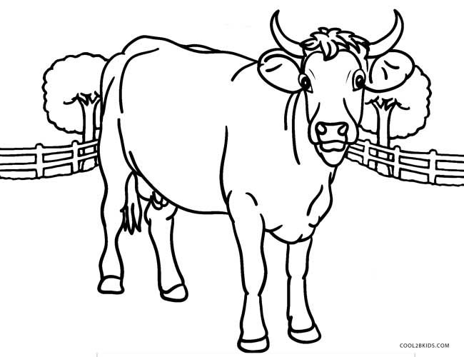650x500 Free Printable Cow Coloring Pages For Kids Cool2bkids