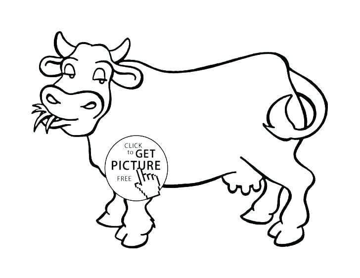 728x562 Cattle Coloring Pages Cattle Ng Pages Unique Cow Ng Pages Ideas