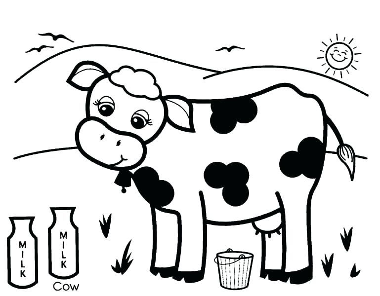 769x600 Coloring Pages Of Cows Cow Coloring Page Cow Coloring Pages Free