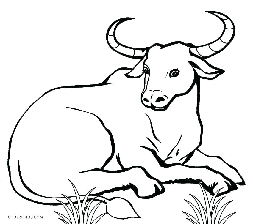 Inspiring Cows Coloring Pages Cow Coloring Pages Free Printable 850x754 Inspiring Cows Coloring Pages Cow Coloring Pages Free Printable
