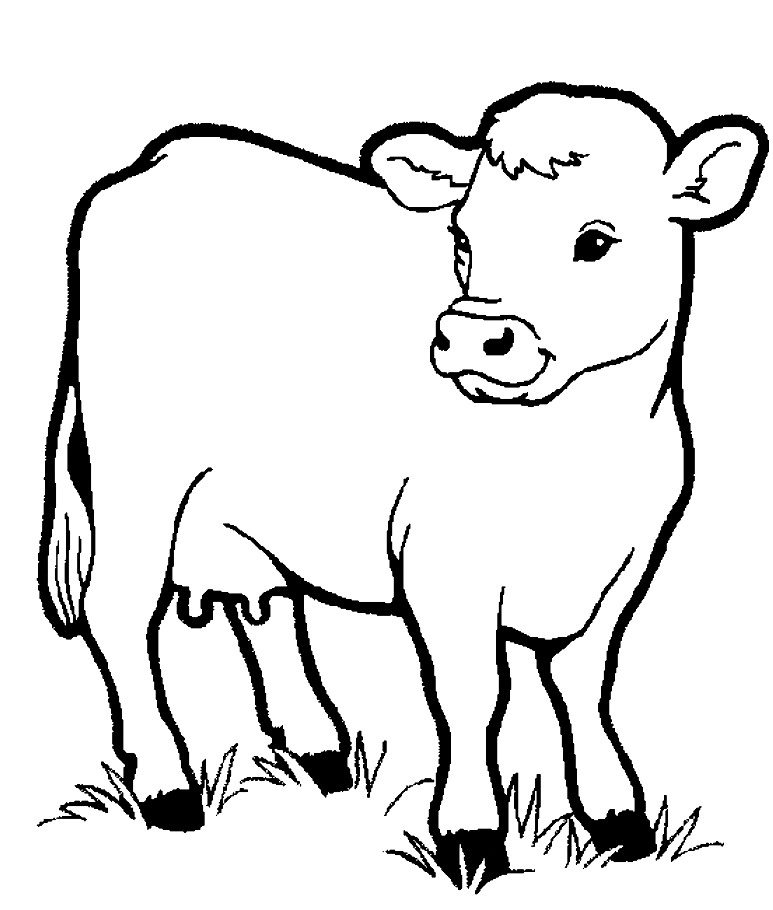 Shining Design Farm Animal Coloring Pages Little Cow Preschool 773x910 Shining Design Farm Animal Coloring Pages Little Cow Preschool
