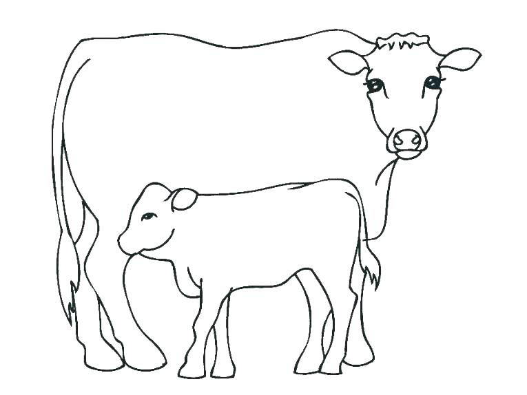 Cattle Coloring Pages Cattle Truck Colouring Pages 765x574 Cattle Coloring Pages Cattle Truck Colouring Pages