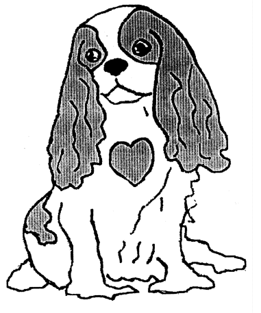 Mitral Valve Disease And The Cavalier King Charles Spaniel 381x457 Mitral Valve Disease And The Cavalier King Charles Spaniel