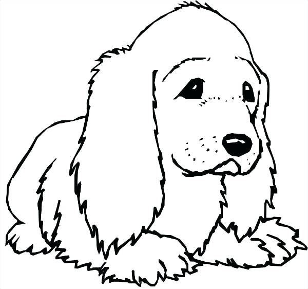 Cocker Spaniel Pages To Color Ckcs Coloring Page Yuckles Download 600x562 Cocker Spaniel Pages To Color Ckcs Coloring Page Yuckles Download