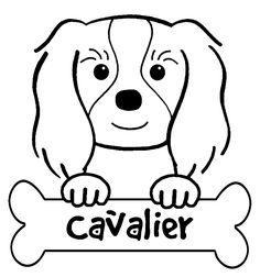 Cavalier King Charles Spaniel 236x252 Cavalier King Charles Spaniel