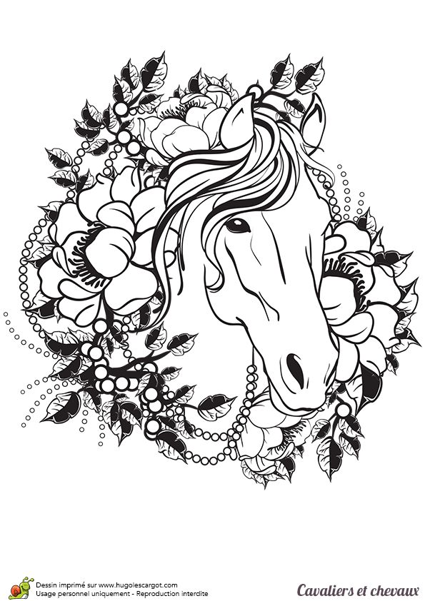 7 Best Adult Coloring Images On Coloring Books 595x842 7 Best Adult Coloring Images On Coloring Books