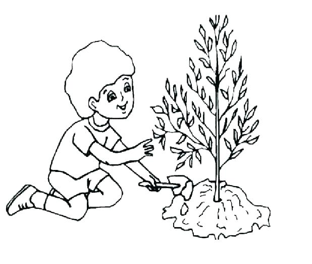Cell Coloring Page Plant Coloring Sheet Plant Coloring Sheets Cell 618x522 Cell Coloring Page Plant Coloring Sheet Plant Coloring Sheets Cell