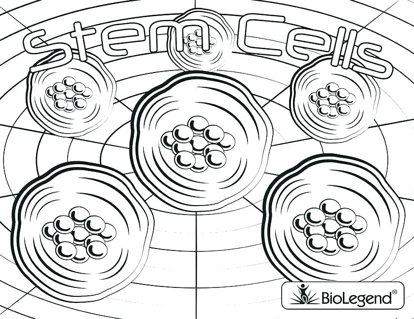 Cell Coloring Pages Cell Coloring Page Amazing Cell Coloring E 838x647 Cell Coloring Pages Cell Coloring Page Amazing Cell Coloring E