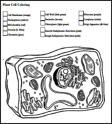 Plant Cell Diagram Worksheet Downl On Animal Cell Coloring P 388x430 Plant Cell Diagram Worksheet Downl On Animal Cell Coloring P