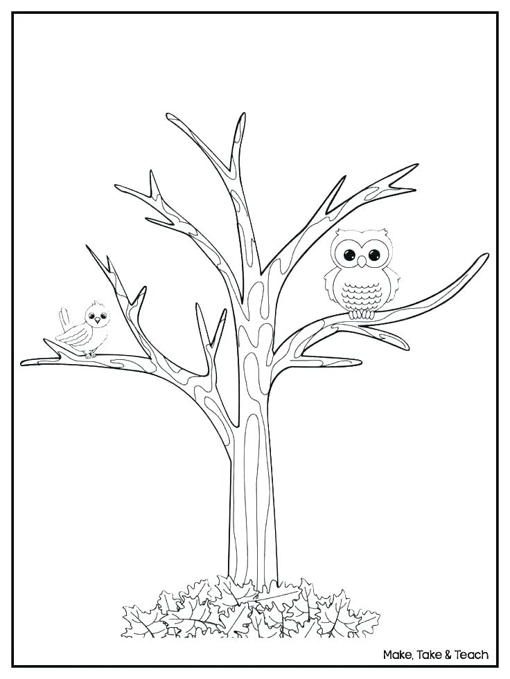 Coloring Pages Tree Autumn Tree Coloring Pages Printable Colouring 736x981 Coloring Pages Tree Autumn Tree Coloring Pages Printable Colouring