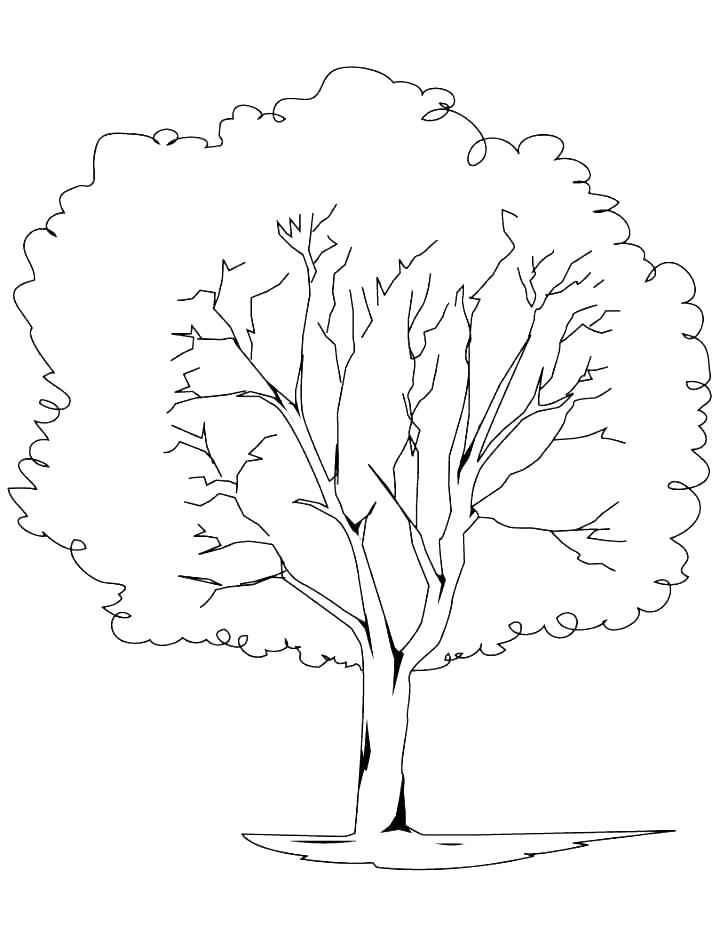 Tree Of Life Coloring Pages 728x941 Tree Of Life Coloring Pages