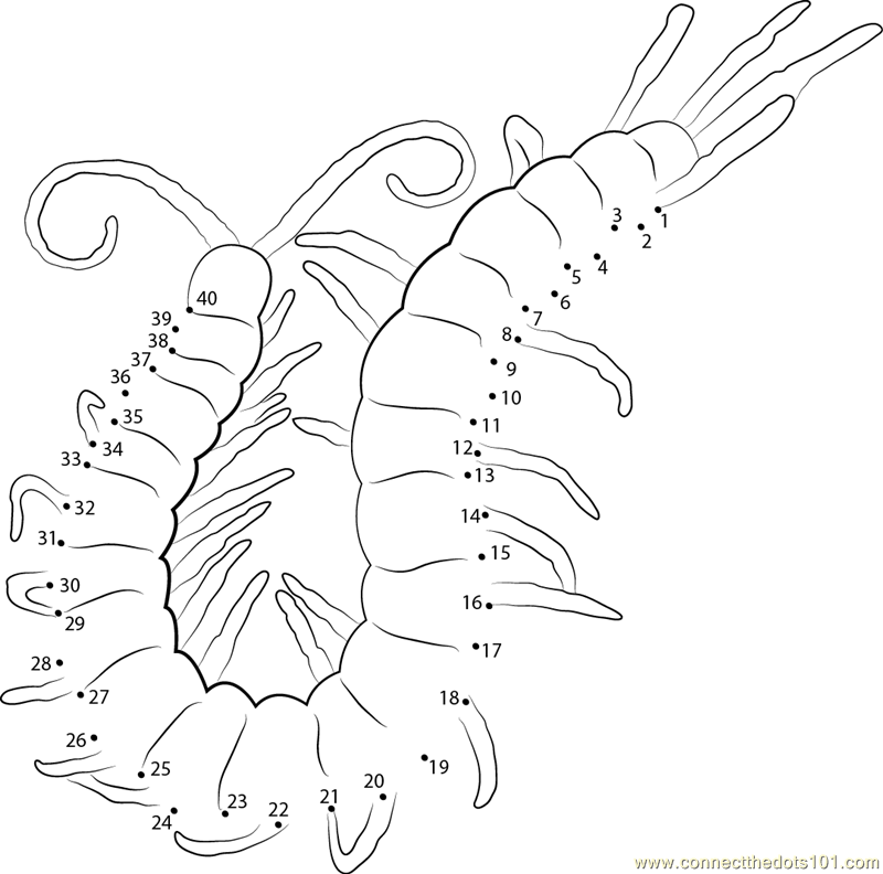 800x792 Centipede Dot To Printable Worksheet Connect The Dots Mexi