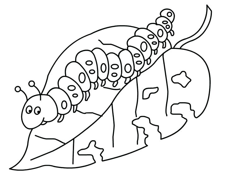 736x597 Centipede Garland Coloring Page Very Hungry Caterpillar Coloring