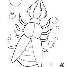 220x220 Centipede Coloring Pages