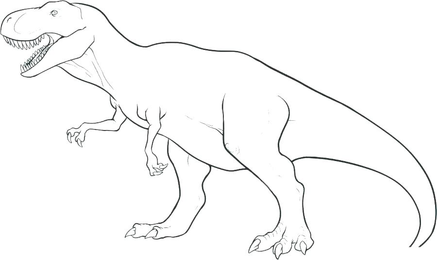 900x536 Ceratosaurus Coloring Pages Dinosaur Alphabet Coloring Pages