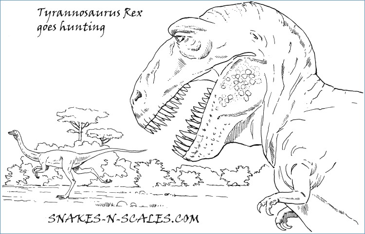 750x482 Ceratosaurus Dinosaur Coloring Pages