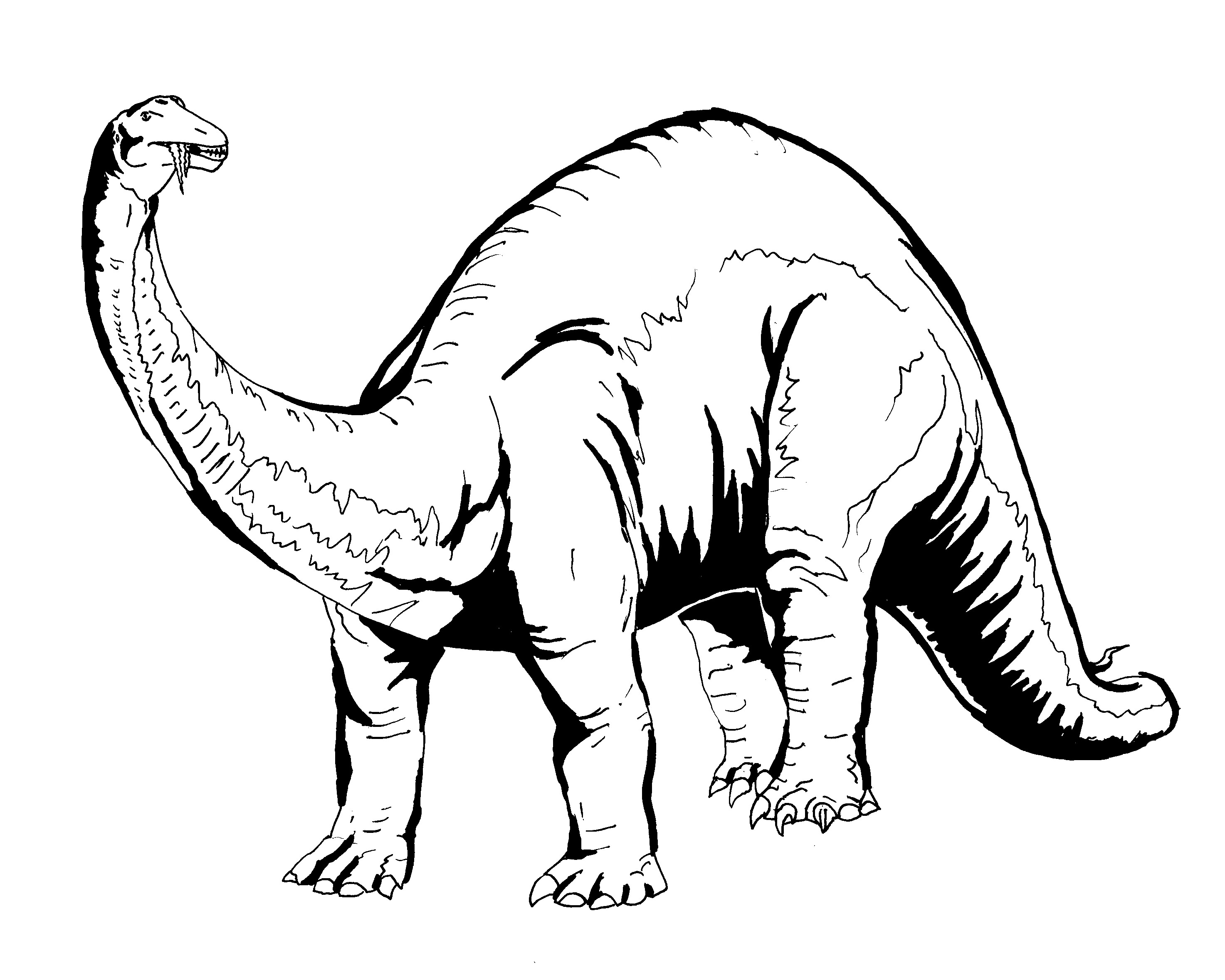 2946x2358 Dinosaur Coloring Pages 2018 Z31 Coloring Page